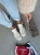 IMG_1925.jpeg