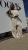 IMG_7798.jpeg