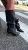 IMG_7198.jpeg