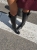IMG_8090.jpeg