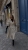 IMG_1242.jpeg